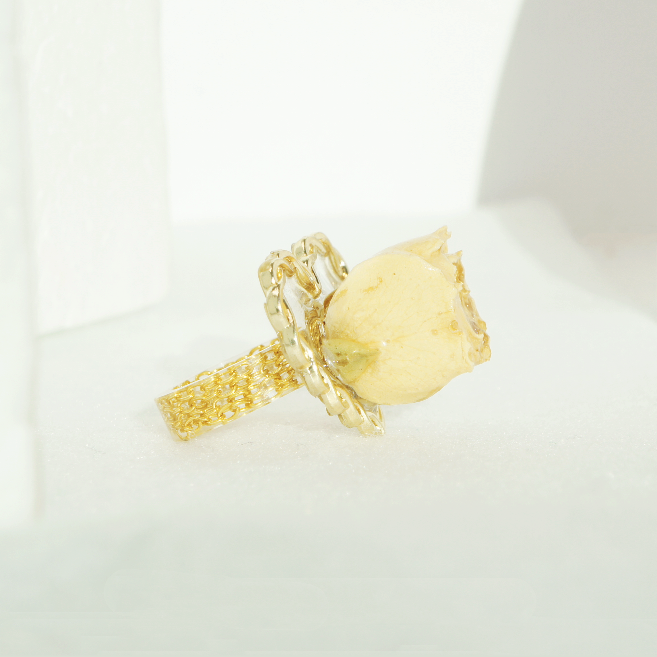 *REAL FLOWER* Rosa Blanca Rosebud Resin Ring on Golden Rope Heart