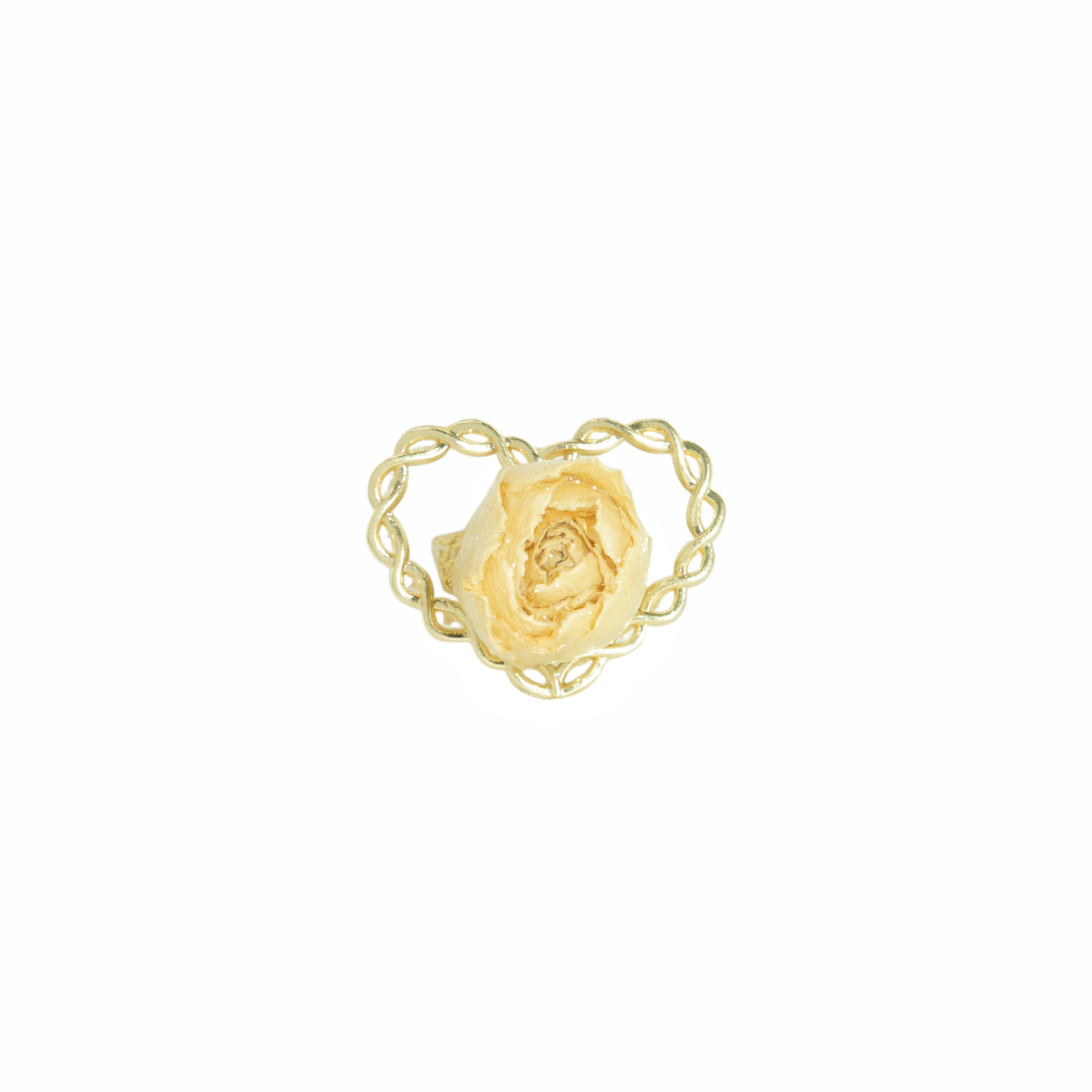 *REAL FLOWER* Rosa Blanca Rosebud Resin Ring on Golden Rope Heart