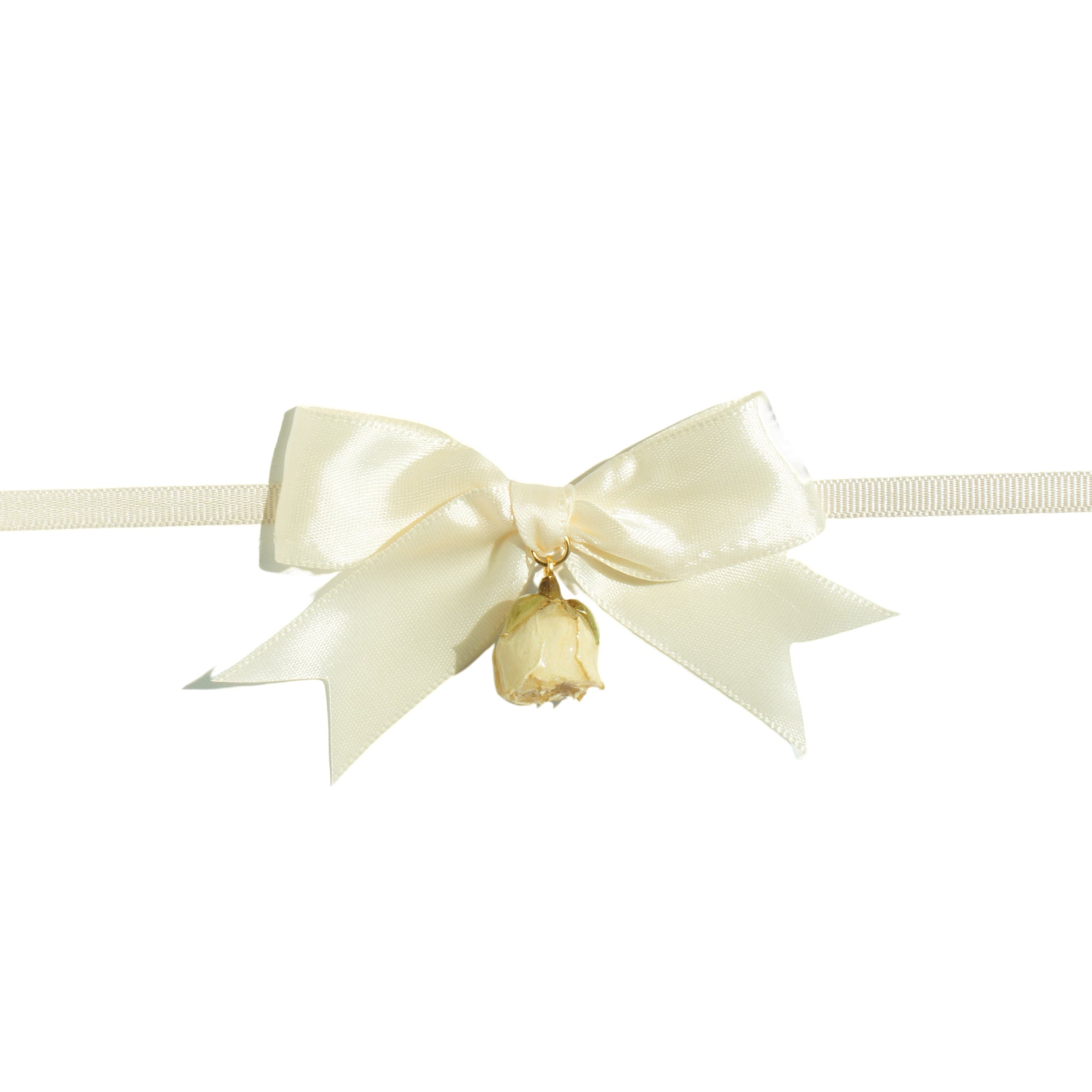 *REAL FLOWER* Rosa Blanca Rosebud and Satin Ribbon Bow Choker