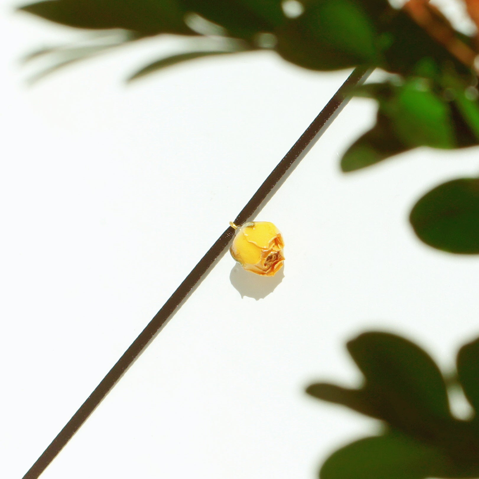 *REAL FLOWER* Rosa Korresia Yellow Rosebud Satin Ribbon Choker