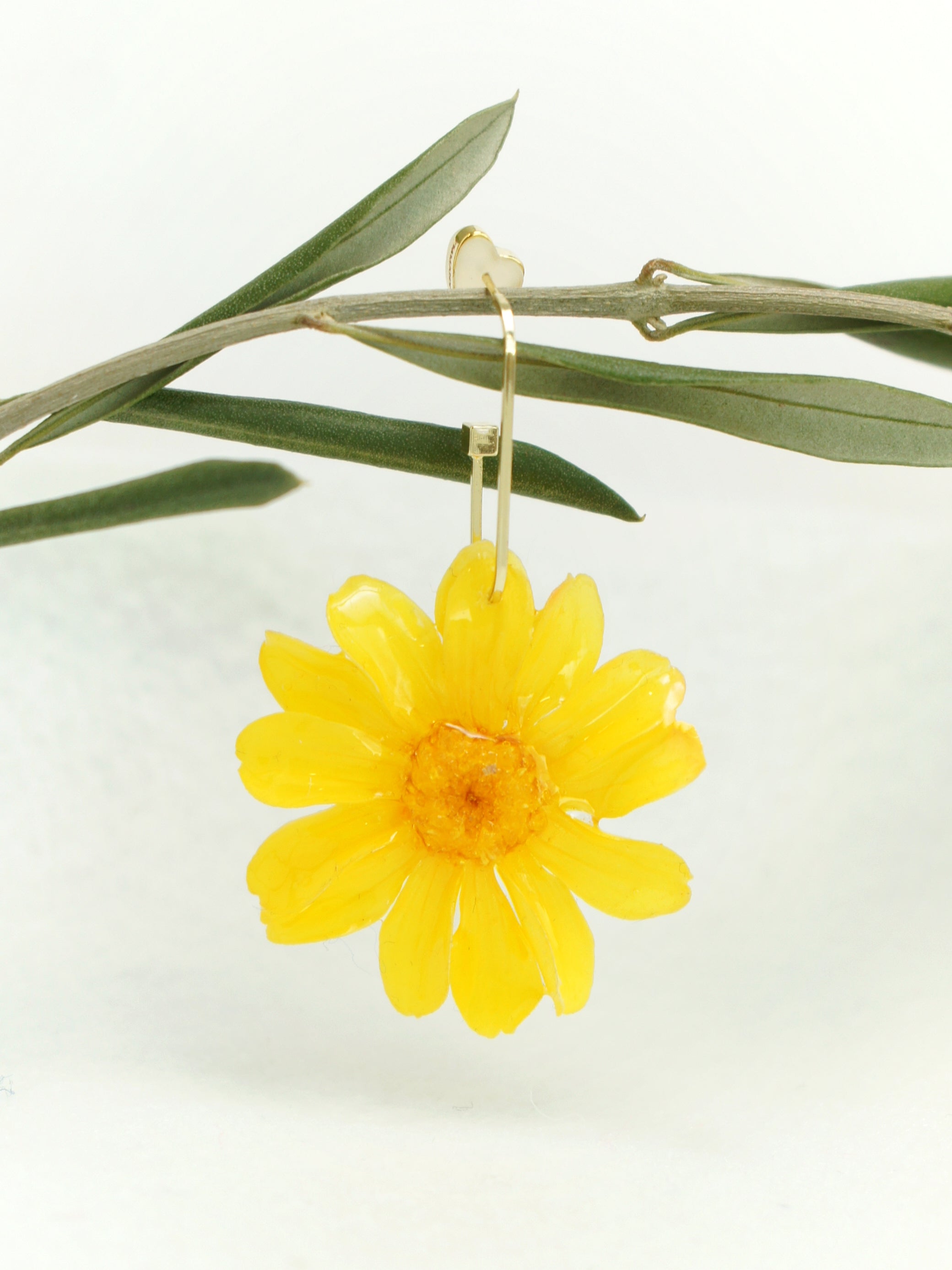 *REAL FLOWER* Paris Daisy Drop Earrings