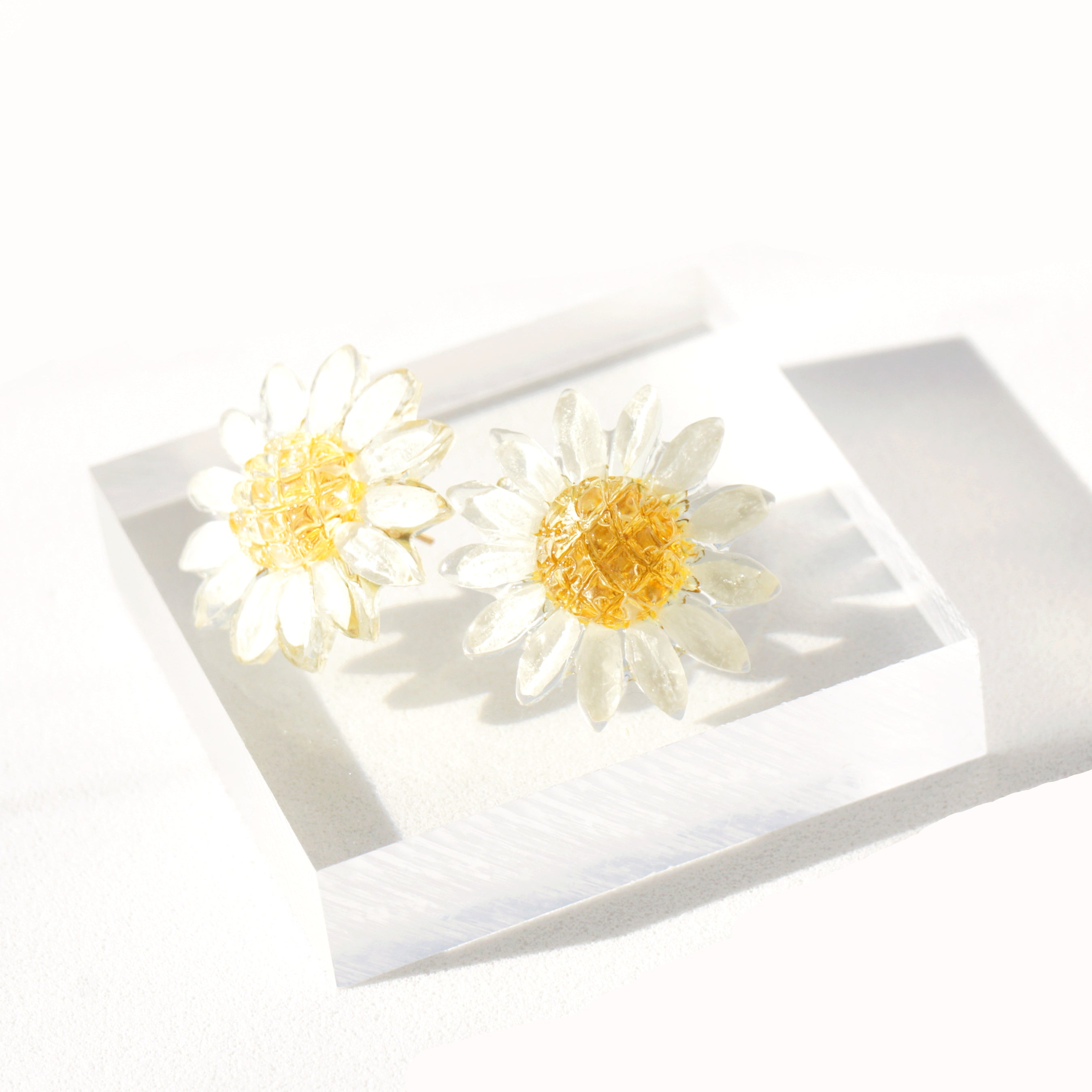 *REAL FLOWER* Reborn White Daisy Stud Earrings