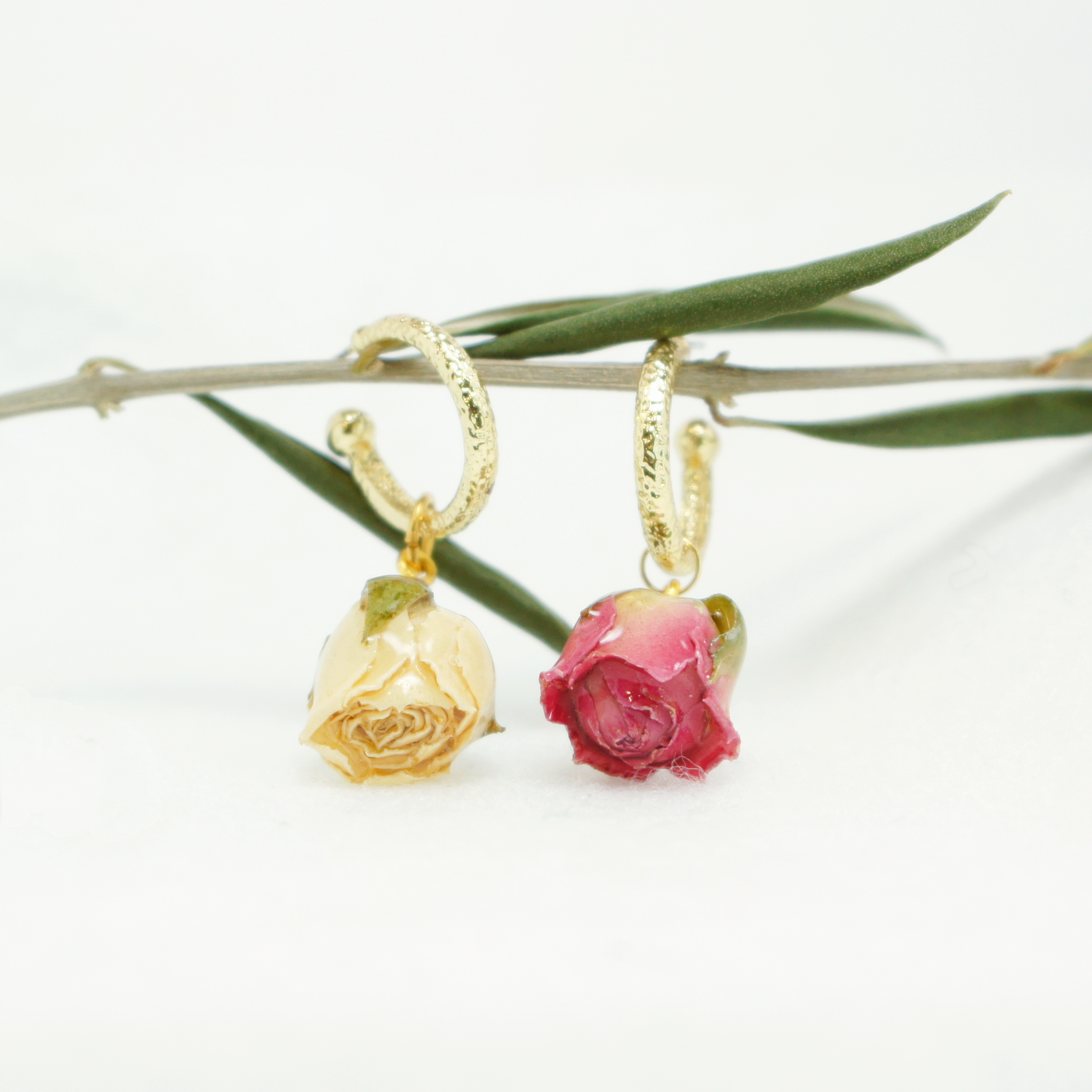 *REAL FLOWER* Rosa Blanca Detachable Rosebud Drop on Golden Hoop Earrings