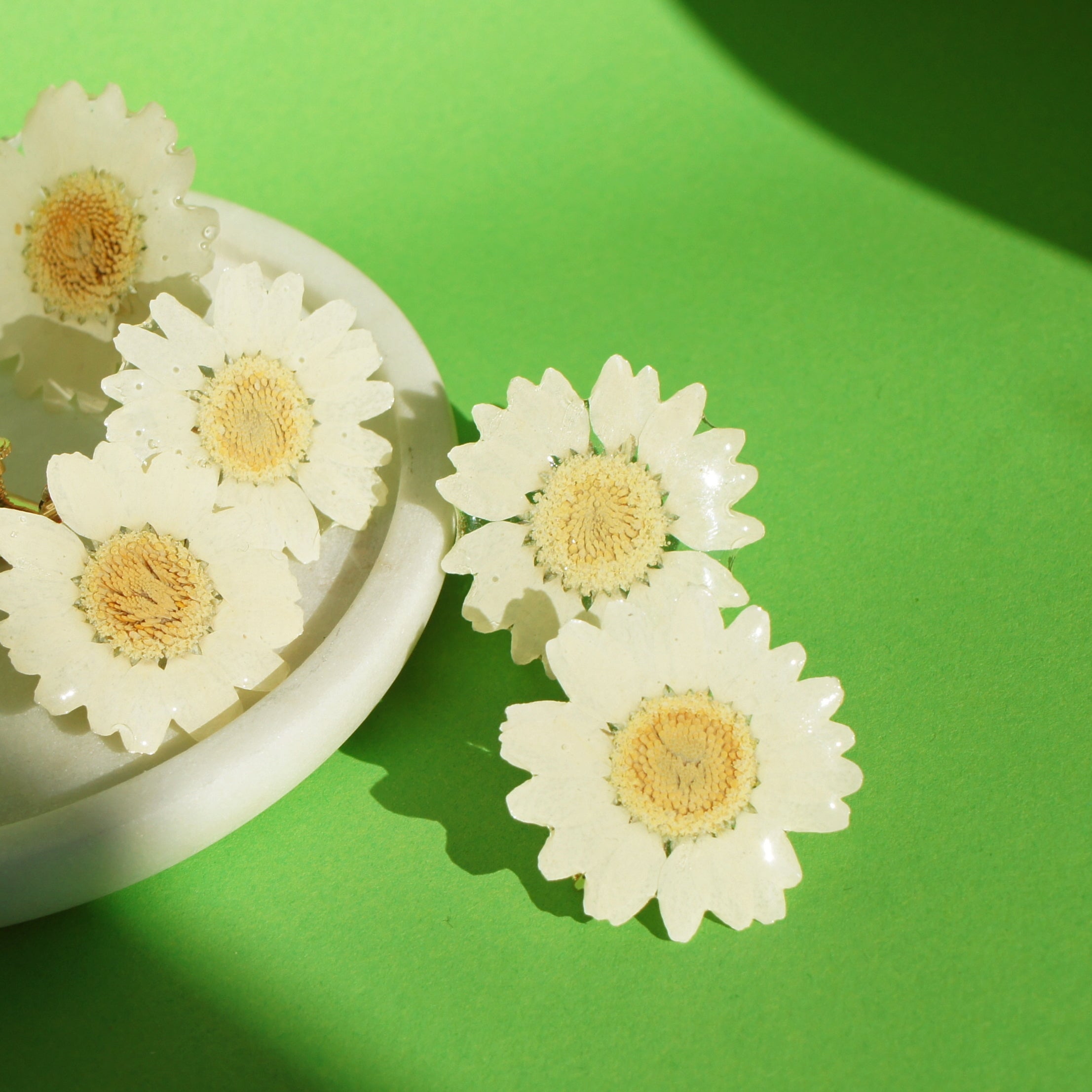 *REAL FLOWER* White Daisy Clip On Earrings