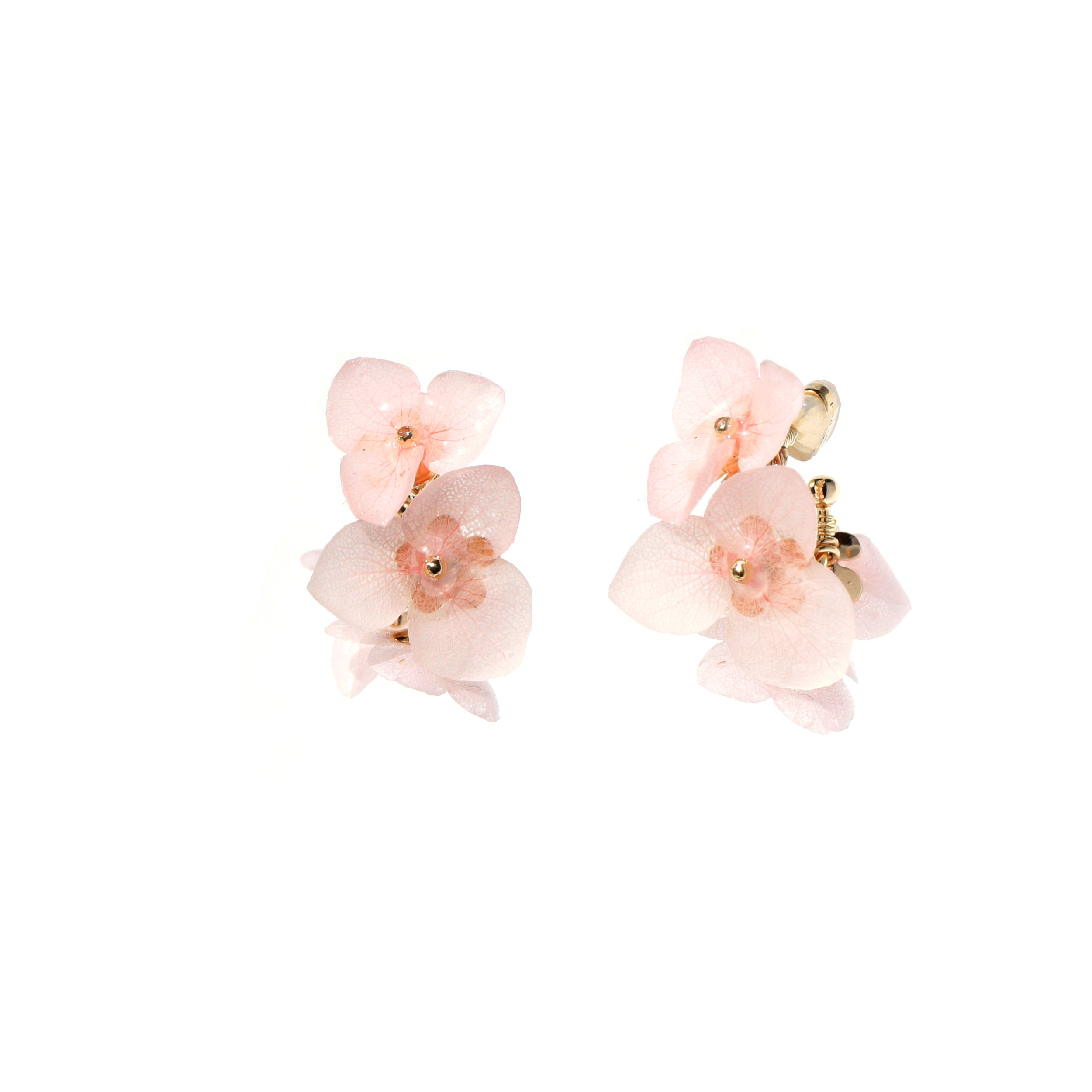 *REAL FLOWER* Libelle Hydrangea Hoop Earrings