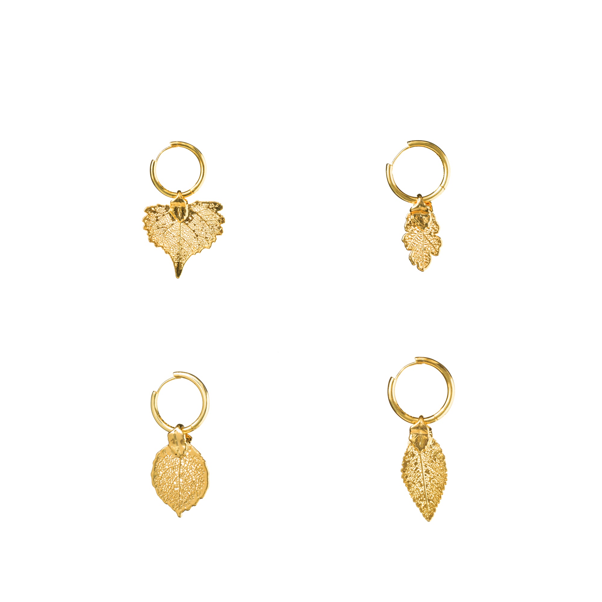 *REAL LEAVES* Be-leaf 24k Gold Plated Leaf With Gold Vermeil Hoop Earrings