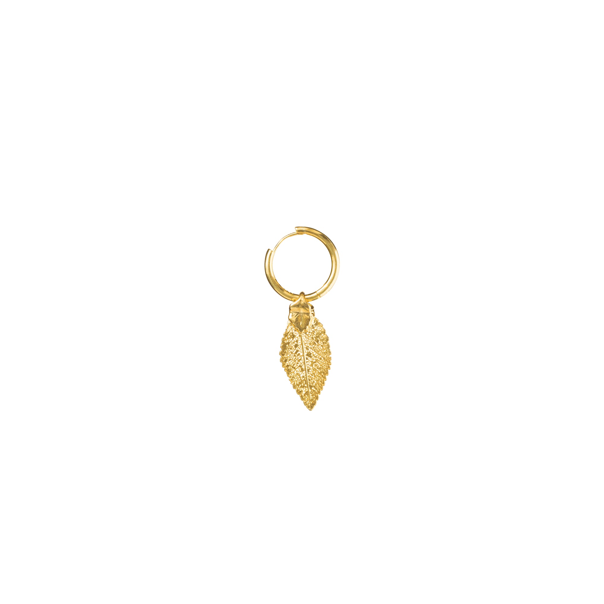 *REAL LEAVES* Be-leaf 24k Gold Plated Leaf With Gold Vermeil Hoop Earrings