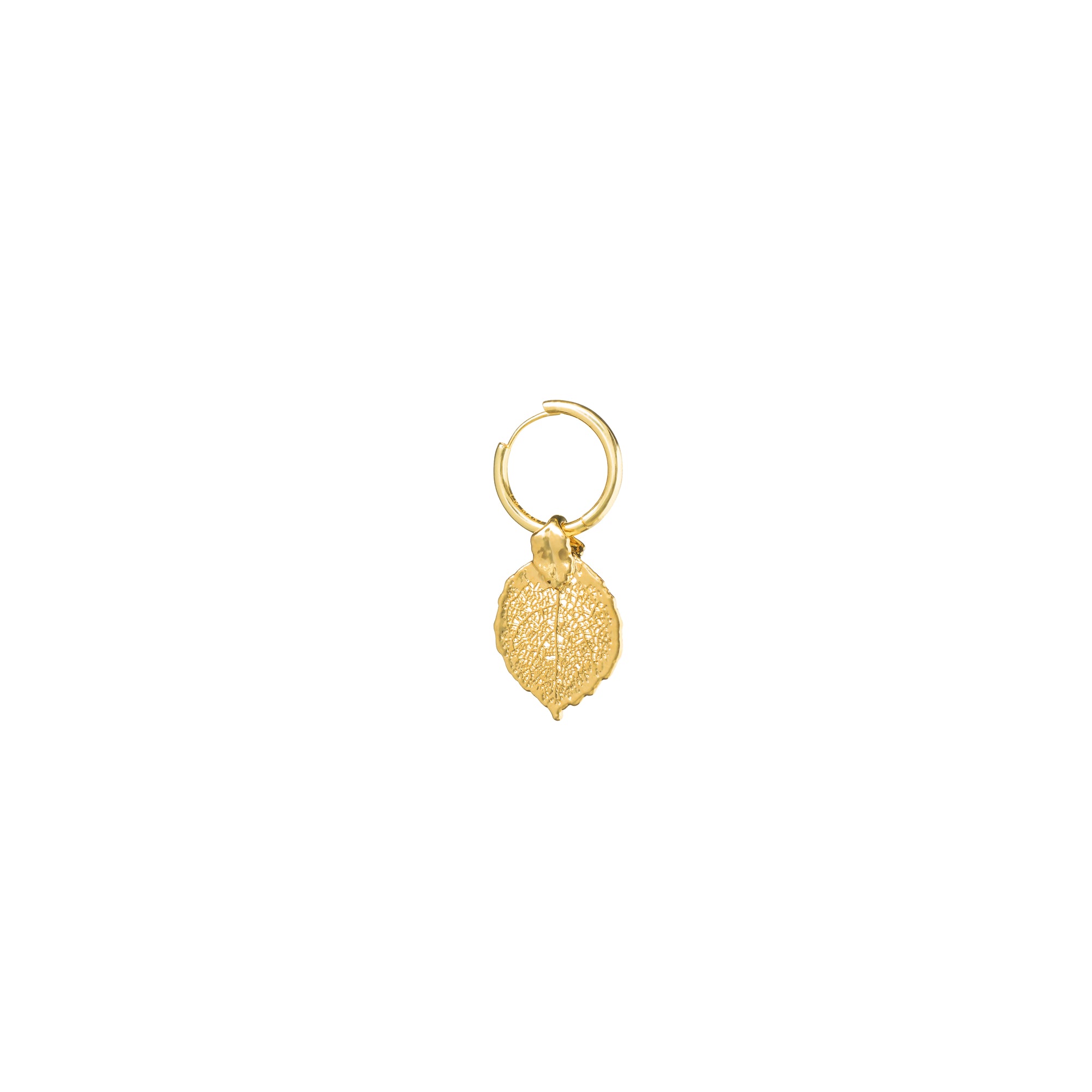 *REAL LEAVES* Be-leaf 24k Gold Plated Leaf With Gold Vermeil Hoop Earrings