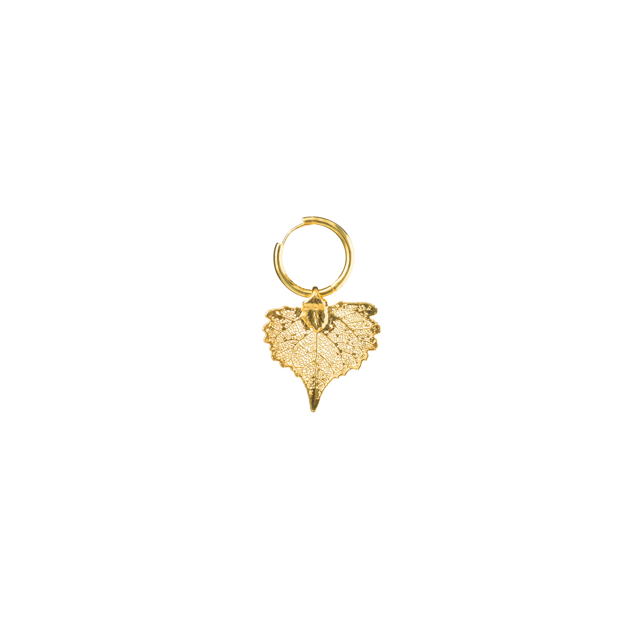*REAL LEAVES* Be-leaf 24k Gold Plated Leaf With Gold Vermeil Hoop Earrings