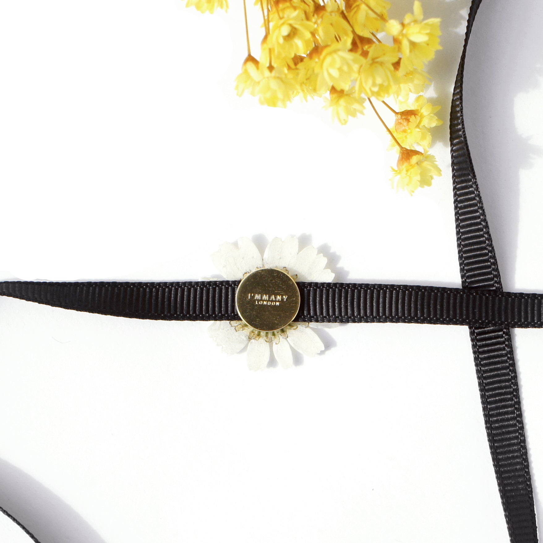 *REAL FLOWER* White Daisy Ribbon-tie Choker Necklace