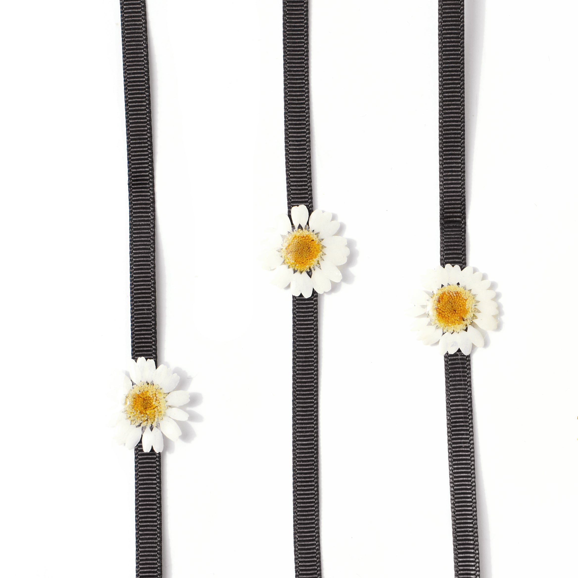 *REAL FLOWER* White Daisy Ribbon-tie Choker Necklace