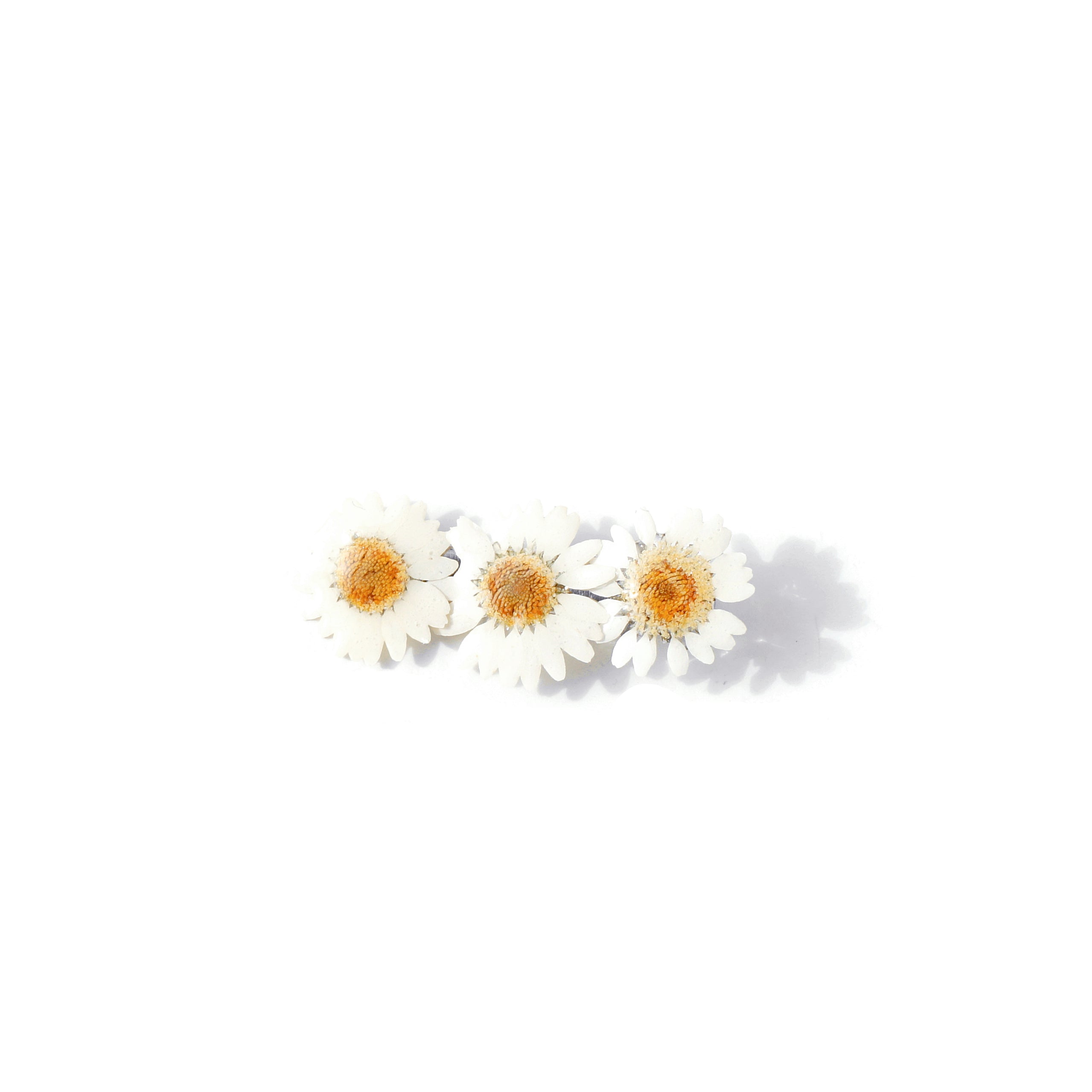 *REAL FLOWER* White Daisy Hair Clip