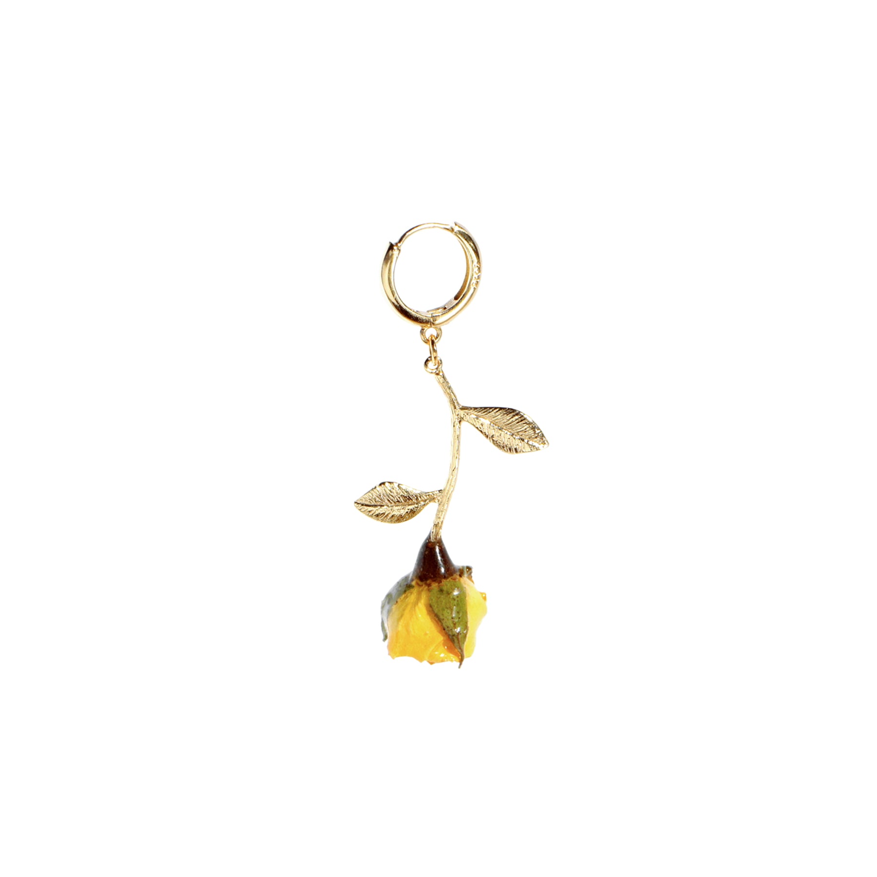 *REAL FLOWER* Rosa Korresia Yellow Rosebud Huggie Hoop Single Earring, 18k Gold Vermeil