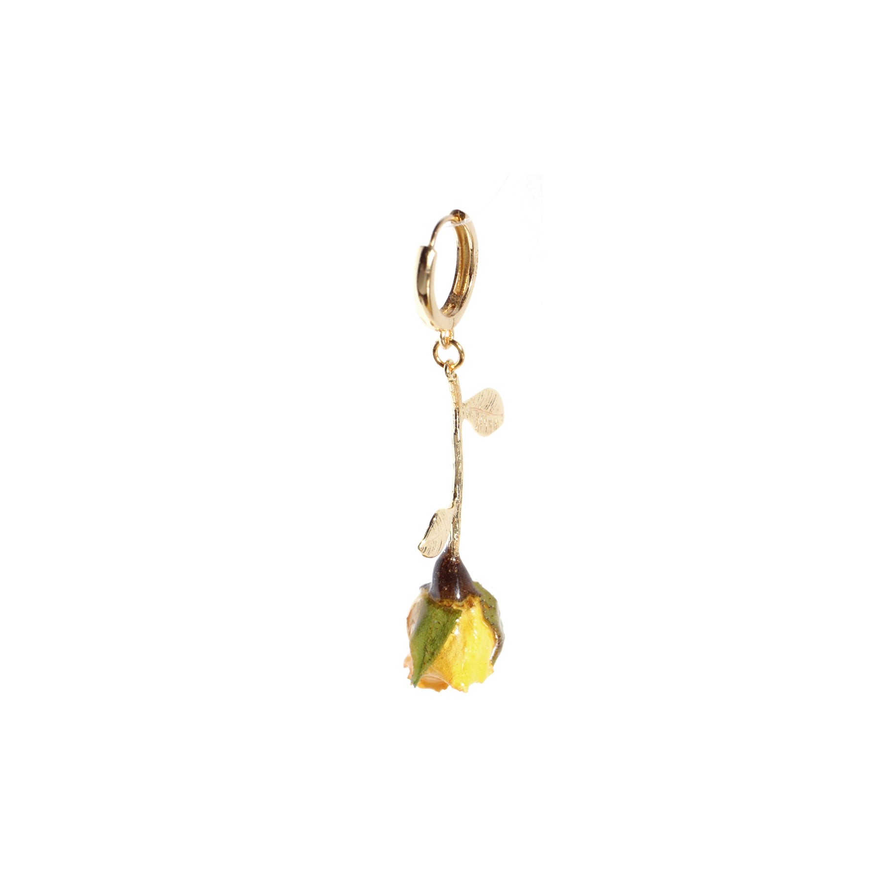 *REAL FLOWER* Rosa Korresia Yellow Rosebud Huggie Hoop Single Earring, 18k Gold Vermeil