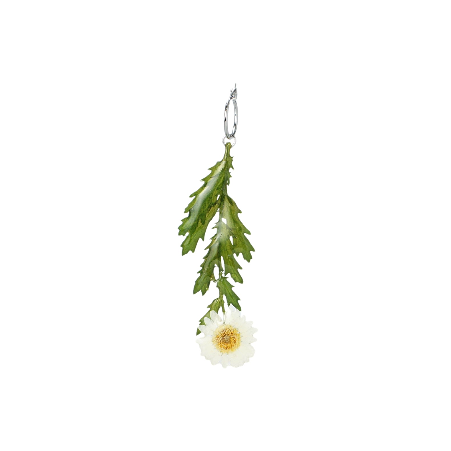 *Real Flower* Daisy with Stem Single Earring