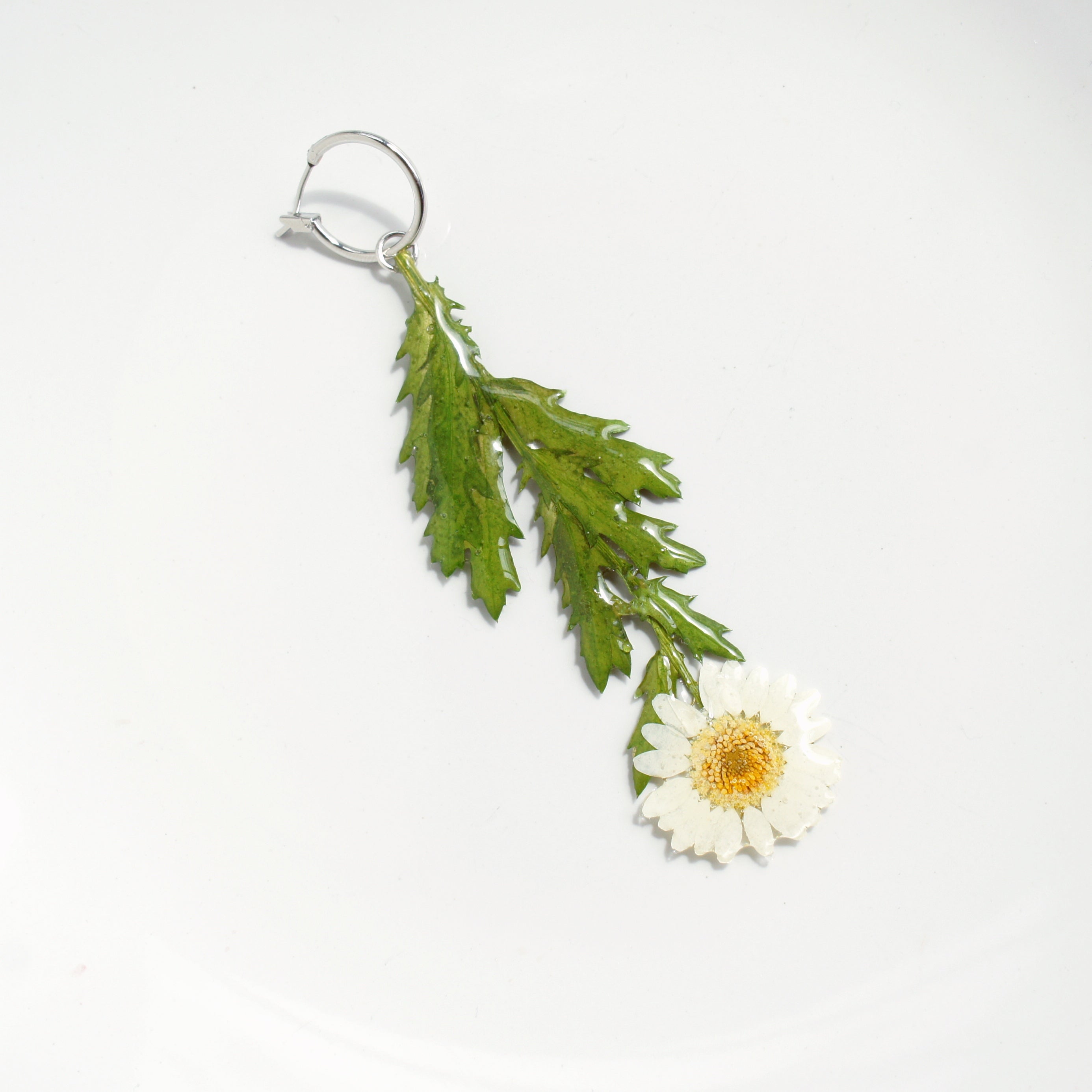 *Real Flower* Daisy with Stem Single Earring