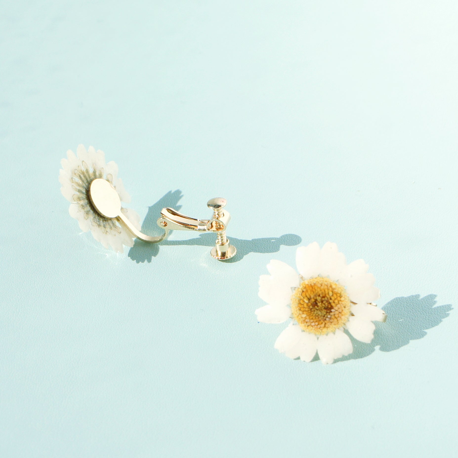 *REAL FLOWER* White Daisy Clip On Earrings